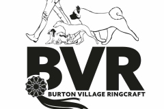 BVR-logo