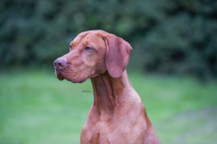 WCH_9611-scaled