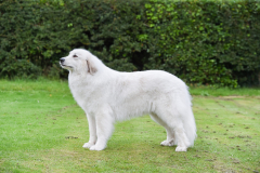 WCH_9630-scaled