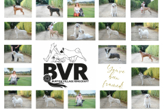 1_BVR-26-copy-scaled