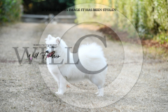 1_WH50249-scaled