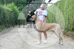 1_WH50431-scaled