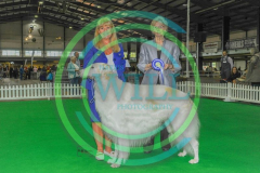 HOUNDSHOW-2023-WCH_0155.JPG