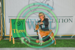 HOUNDSHOW-2023-WCH_0195.JPG