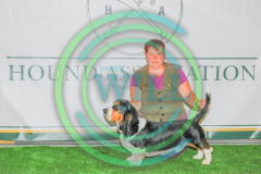 HOUNDSHOW-2023-WCH_0199.JPG