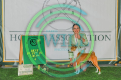 HOUNDSHOW-2023-WCH_0224.JPG