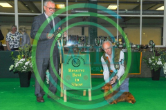 HOUNDSHOW-2023-WCH_0245.JPG