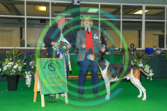 HOUNDSHOW-2023-WCH_0263.JPG