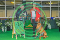 HOUNDSHOW-2023-WCH_0271.JPG