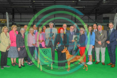 HOUNDSHOW-2023-WCH_0280.JPG
