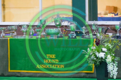 HOUNDSHOW-2023-WCH_6214.JPG