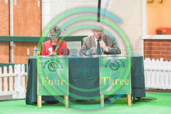 HOUNDSHOW-2023-WCH_6219.JPG