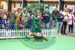 HOUNDSHOW-2023-WCH_6268.JPG
