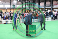 HOUNDSHOW-2023-WCH_6288.JPG