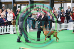 HOUNDSHOW-2023-WCH_6291.JPG