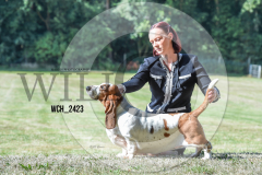 WCH_2423-copy