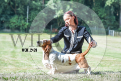 WCH_2429-copy