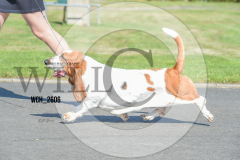 WCH_2606-copy