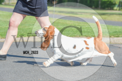 WCH_2633-copy