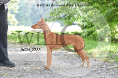 WCH_2738-copy