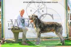 WCH_8893-copy