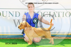 WCH_8929-copy