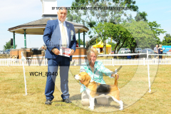 WCH_8940-copy