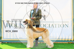 WCH_8968-copy