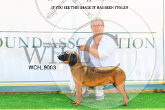 WCH_9003-copy