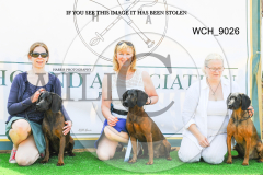 WCH_9026-copy