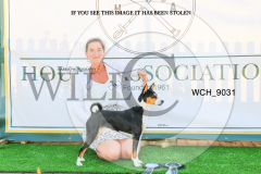 WCH_9031-copy