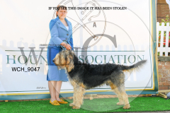 WCH_9047-copy