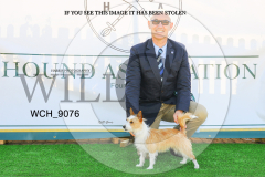 WCH_9076-copy