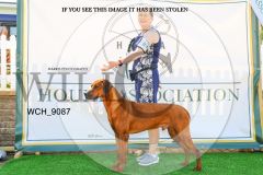 WCH_9087-copy