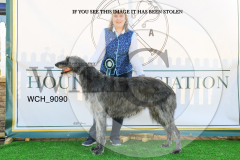 WCH_9090-copy