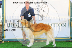 WCH_9105-copy