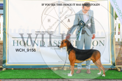 WCH_9156-copy