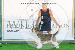 WCH_9214-copy