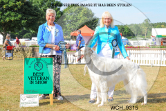 WCH_9315-copy