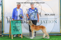 WCH_9320-copy