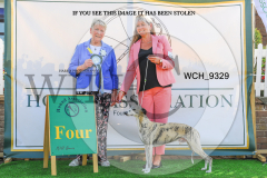 WCH_9329-copy
