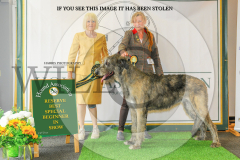 1_WH1_1485_HOUNDSHOW-2025-copy-scaled