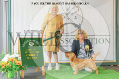 1_WH1_1491_HOUNDSHOW-2025-copy-scaled
