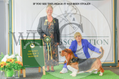 1_WH1_1506_HOUNDSHOW-2025-copy-scaled