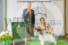 1_WH1_1514_HOUNDSHOW-2025-copy-scaled