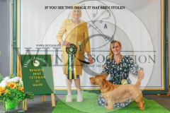 1_WH1_1535_HOUNDSHOW-2025-copy-scaled