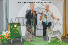 1_WH1_1551_HOUNDSHOW-2025-copy-scaled