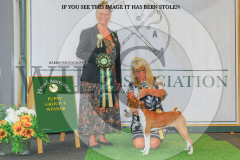 1_WH1_1566_HOUNDSHOW-2025-copy-scaled