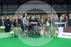 1_WH1_1572_HOUNDSHOW-2025-copy-scaled