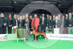 1_WH1_1588_HOUNDSHOW-2025-copy-scaled